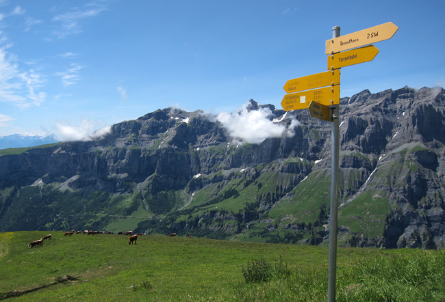 Альпийские страны хотят возобновить туризм этим летом 2