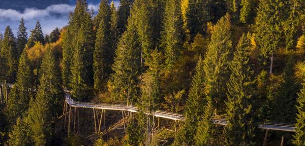 Швейцарский ГК Лаакс открыл самую длинную в мире дорожку… по кронам деревьев в качестве круглогодичного аттракциона 1