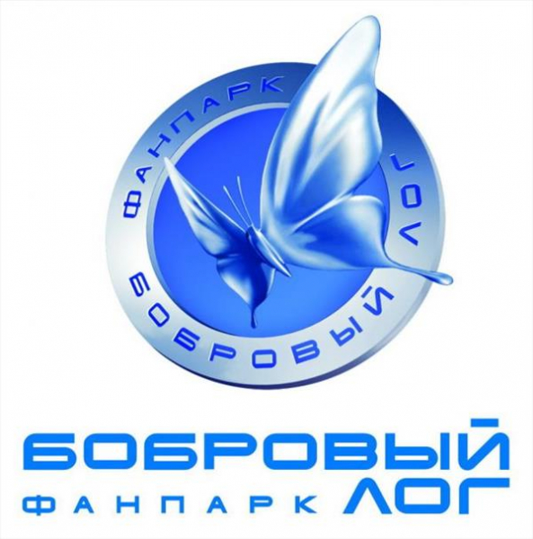В Красноярске завершились соревнования «Сибирские бобрята» 2