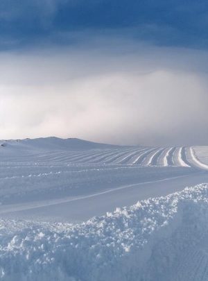 На Эльбрусе начата подготовка к проведению летних тренировочных мероприятий на снегу 1