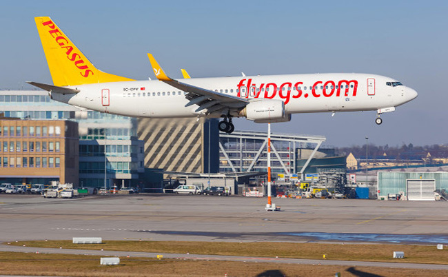 Pegasus Airlines объявила об отмене всех своих рейсов 1